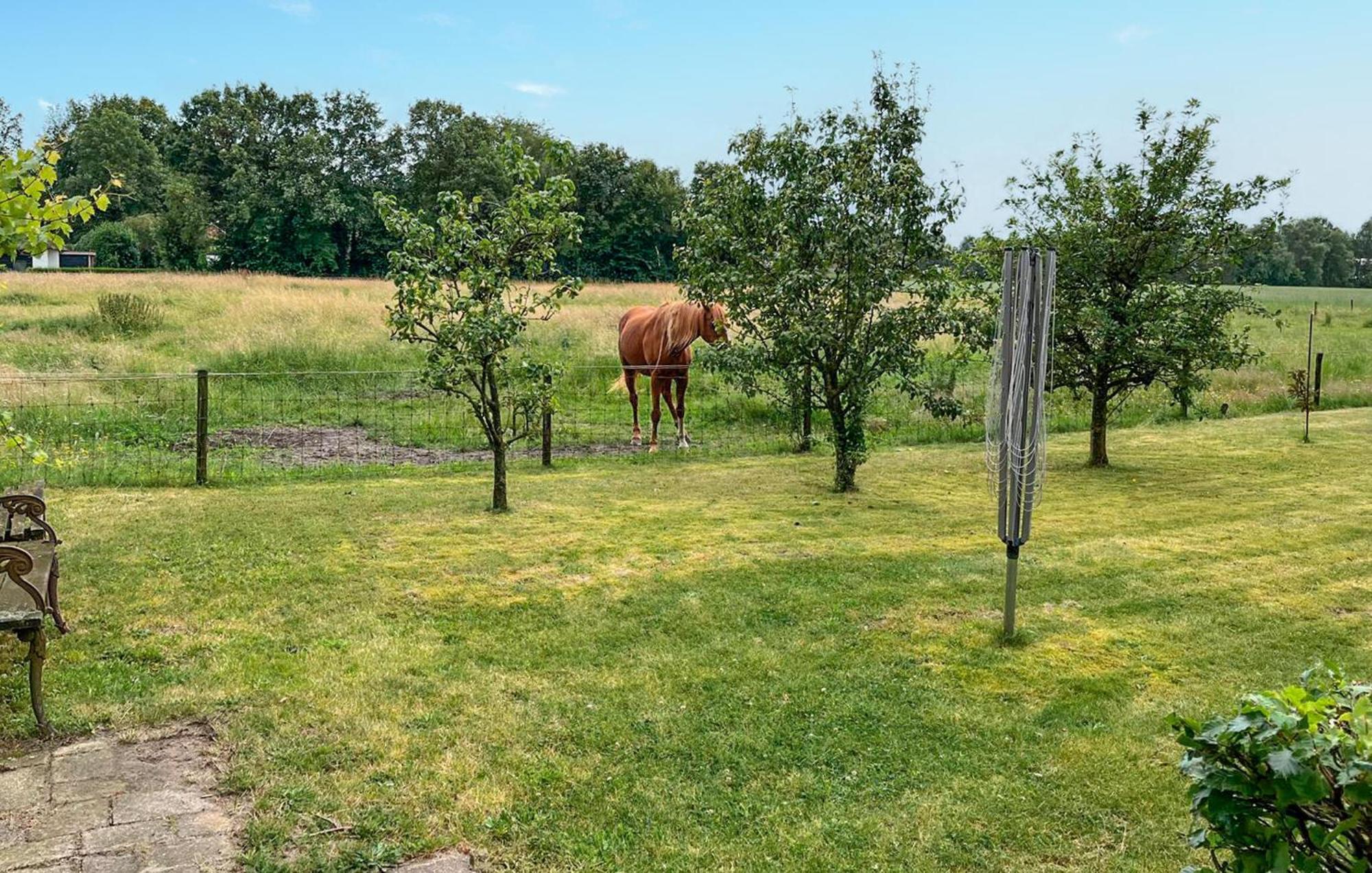 Dorsvloer Villa De Moer Eksteriør bilde